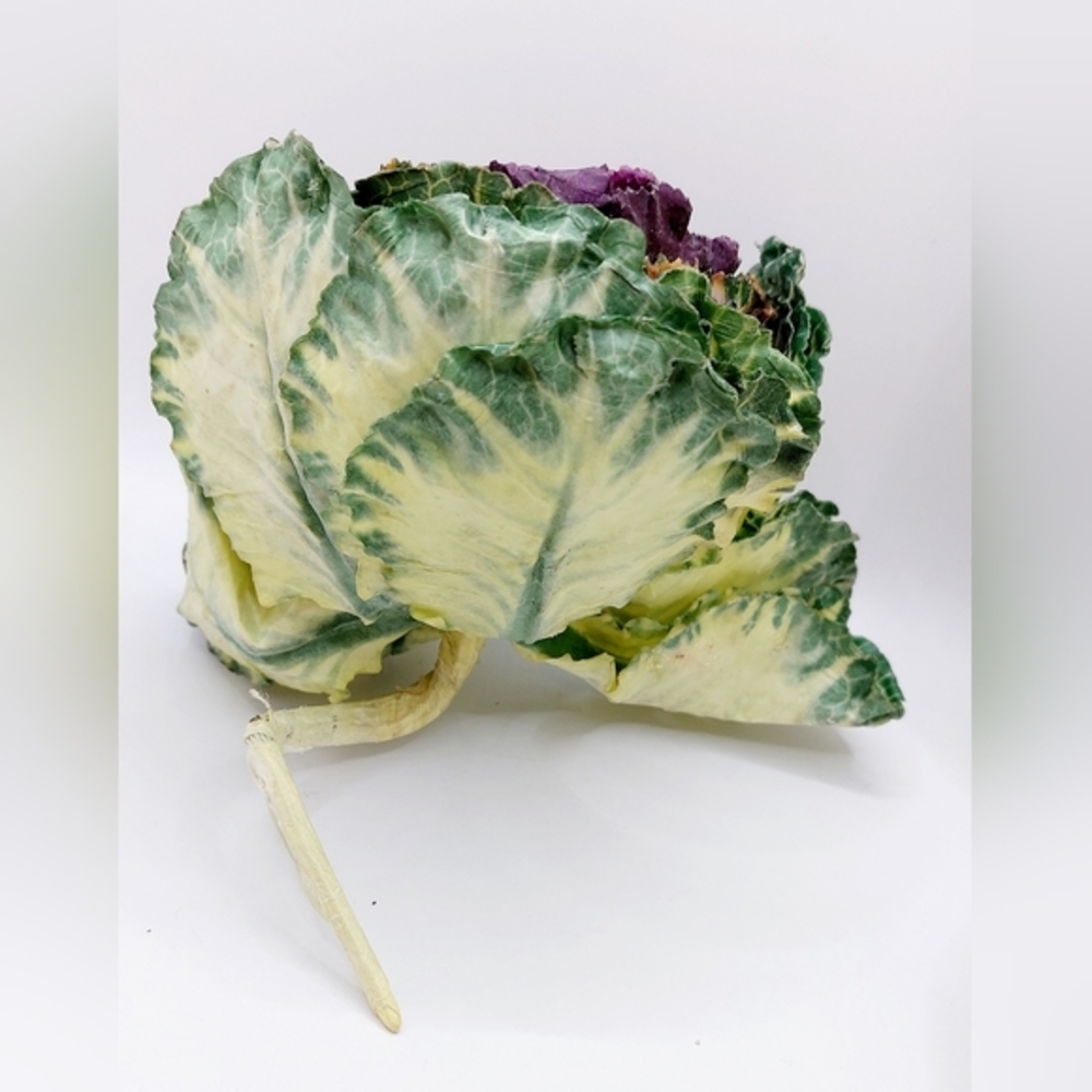 Vintage 14 piece set of hyper realistic‎ artificial food - Picture 3 of 10